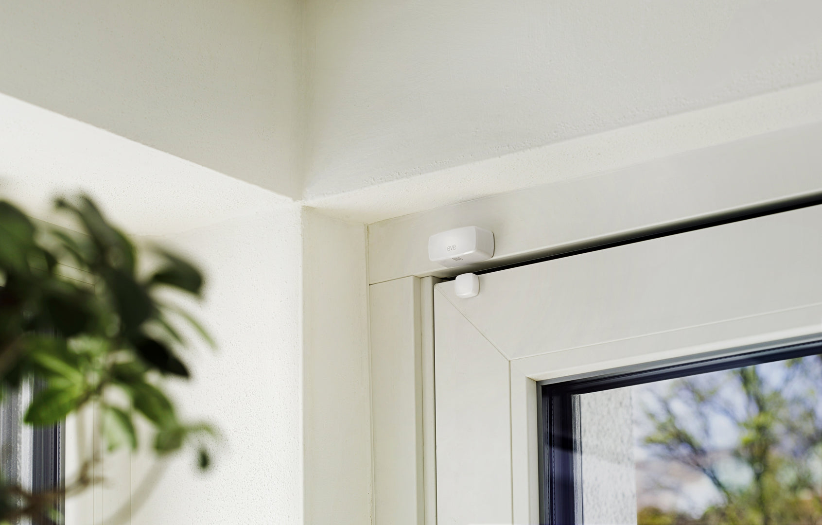 Eve Door & Window (Matter) Kabelloser Kontaktsensor (Demo-Artikel)