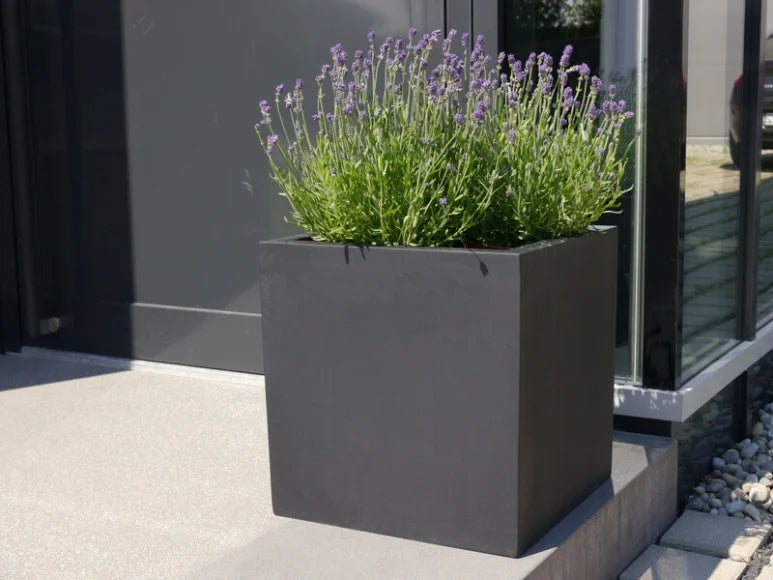 Revox Botanic 50 Outdoor, 50-2o Outdoor